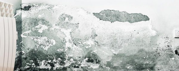 Traitement contre l'humidité